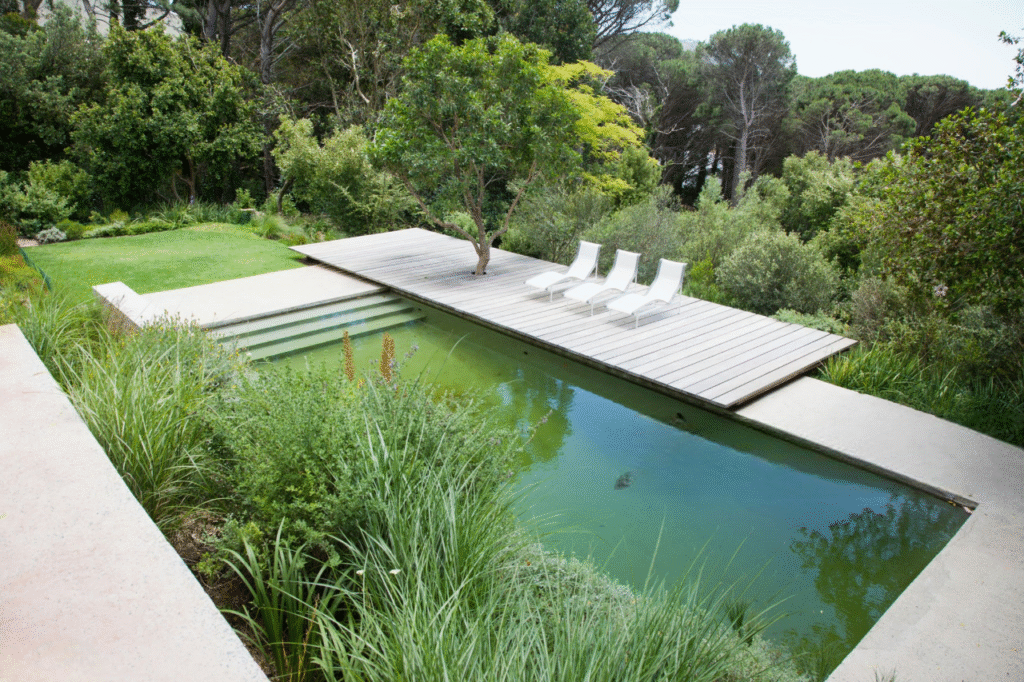 eau de piscine verte remède de grand-mère