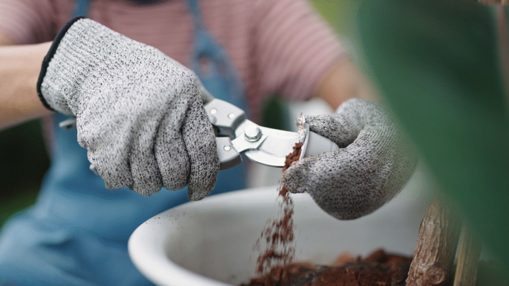 dosette senseo compost dosette senseo compost