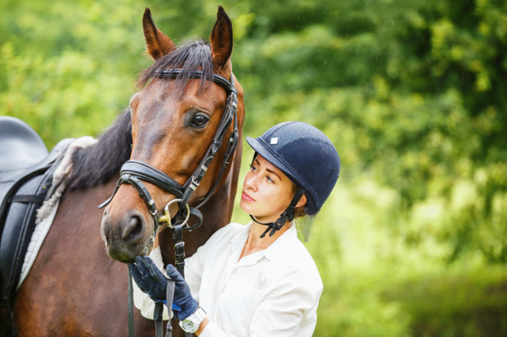 FFE SIF, FFE Compet, filière turf FFE SIF, FFE Compet, filière turf