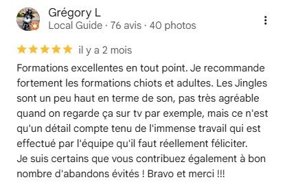 apprendre le dressage de son chiot avec Esprit Dog