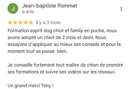 apprendre le dressage de son chiot avec Esprit Dog